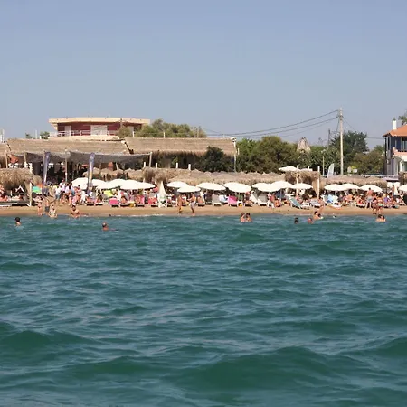 Ilida * Κουρούτα